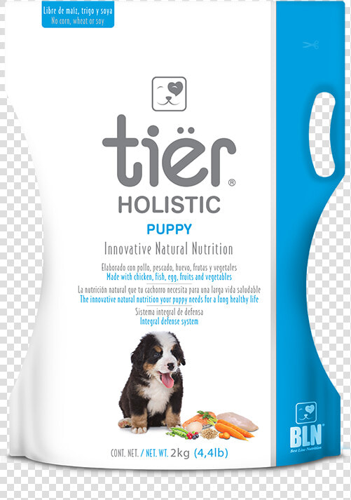 Companion Dog  HD Png DownloadTransparent PNG
