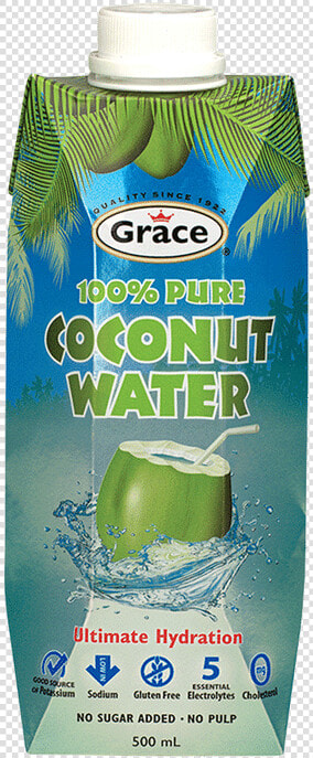 Grace Coconut Water   Grace Coconut Water Tetra  HD Png DownloadTransparent PNG