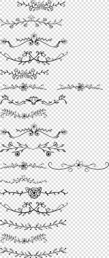 Clip Art Divider Fonts   Floral Dividers Png  Transparent PngTransparent PNG