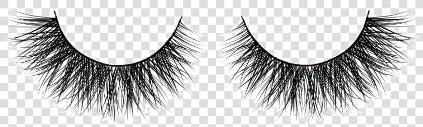 Cruelty free Eyelash Extensions Beauty Hair   Transparent Background Eyelash Transparent  HD Png DownloadTransparent PNG
