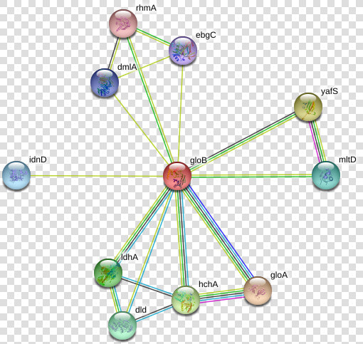 Glob Protein   Circle  HD Png DownloadTransparent PNG