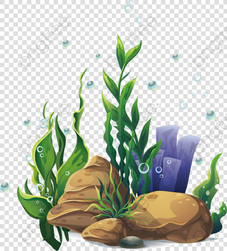 Submarine Plant Seabed Png  Transparent PngTransparent PNG