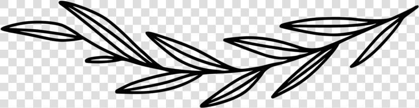 Bonus Black On Transparent Background 12   Grace Design  HD Png DownloadTransparent PNG