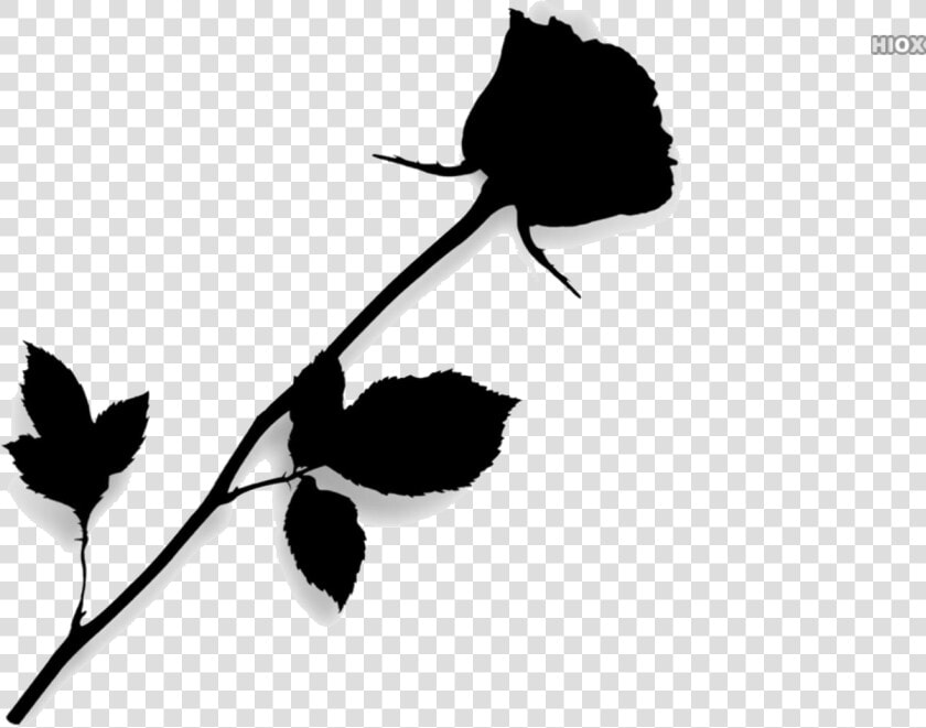 Single Rose Vector Png Transparent Images   Transparent Long Stem Red Rose  Png DownloadTransparent PNG