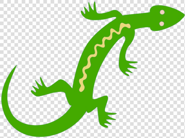 Lizard Clipart Jungle   Lizard Clipart  HD Png DownloadTransparent PNG