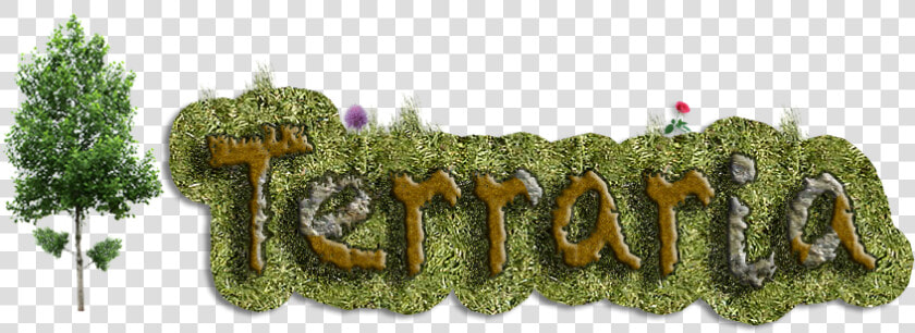 Terraria   Thuya  HD Png DownloadTransparent PNG