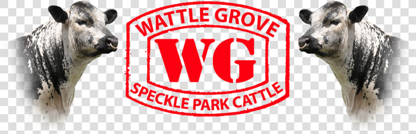 Wattle Grove Speckle Park Logo   Graphic Design  HD Png DownloadTransparent PNG