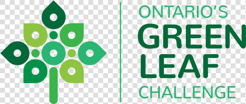 Ontario Green Leaf Challenge  HD Png DownloadTransparent PNG