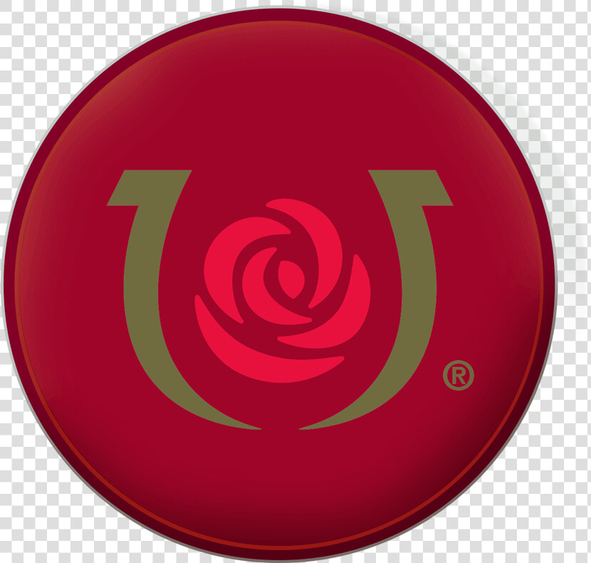 Transparent Kentucky Derby Clipart   Circle  HD Png DownloadTransparent PNG