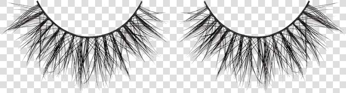 Lilly Lashes Mink Lashes  HD Png DownloadTransparent PNG