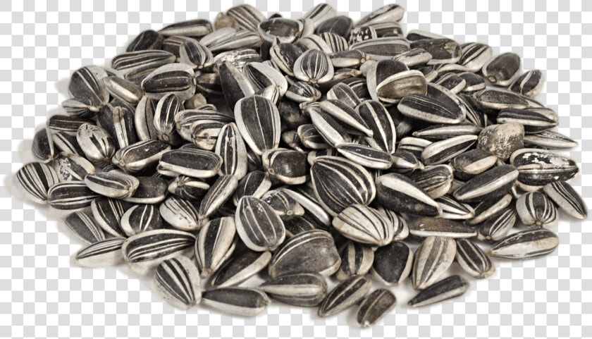 Sunflower Seeds Png   Sunflower Seeds Transparent Background  Png DownloadTransparent PNG