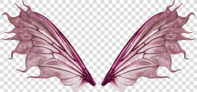 Tatuagem De Asa   Butterfly Fairy Wings Transparent  HD Png DownloadTransparent PNG