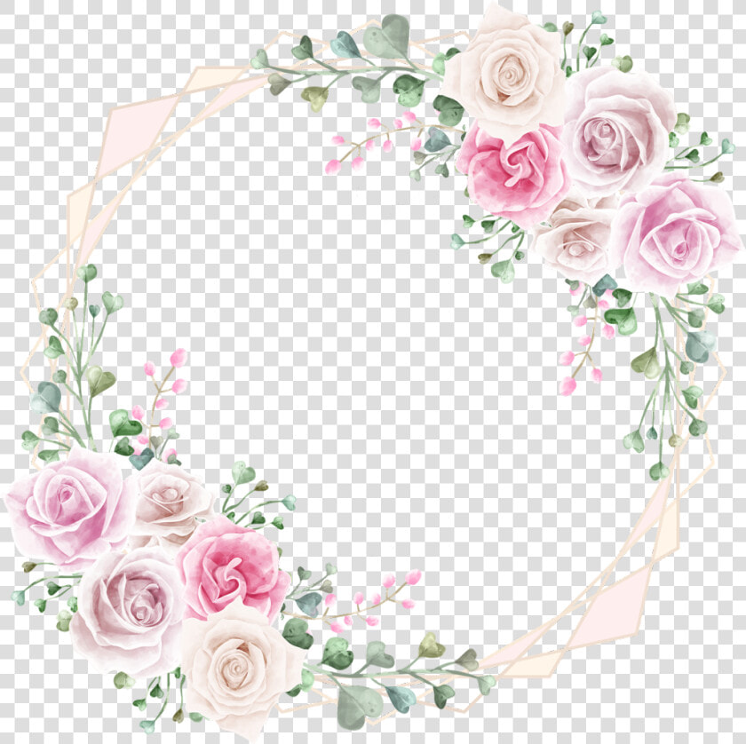  rose  square  gold  frame  glitter  geometric  colorful   Garden Roses  HD Png DownloadTransparent PNG