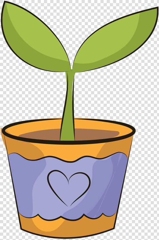 Flower Wit Pot Clipart  HD Png DownloadTransparent PNG