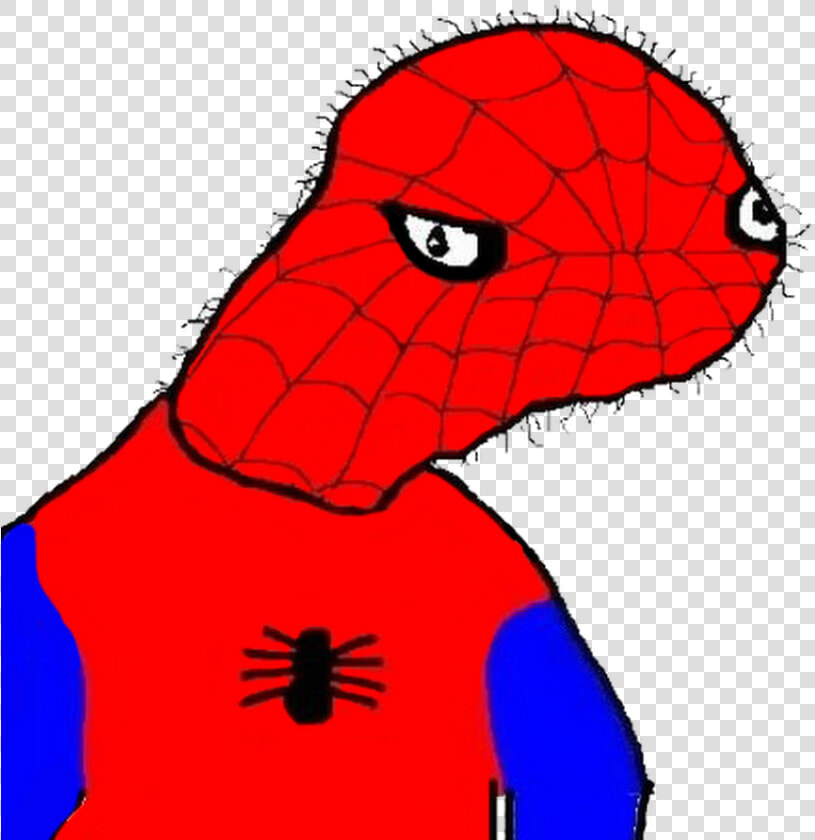 Transparent Spooderman Png   Spooder Man  Png DownloadTransparent PNG