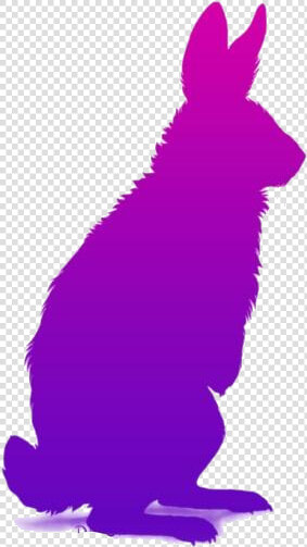 Arctic Hare Png Clipart  Transparent PngTransparent PNG