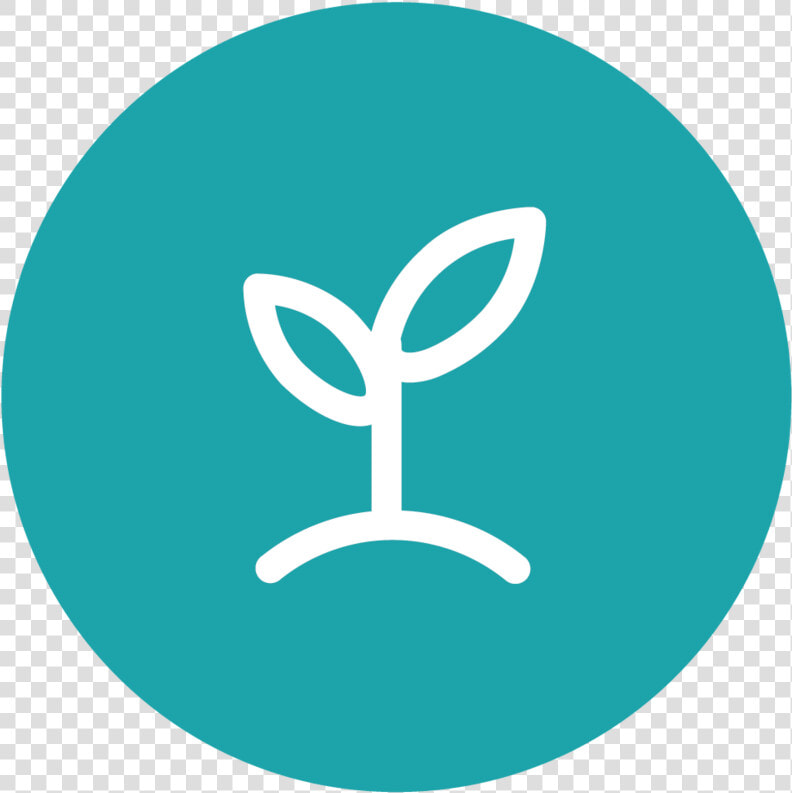 Start To Grow   Circle  HD Png DownloadTransparent PNG