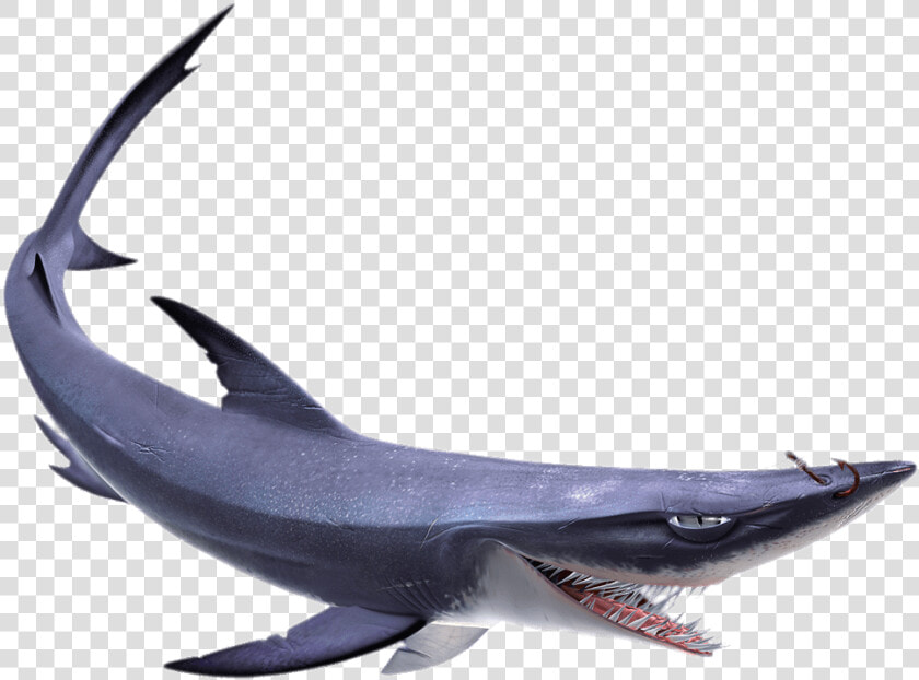 Finding Nemo Characters Chum  HD Png DownloadTransparent PNG