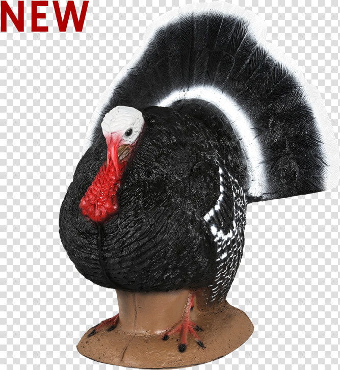 Turkey Archery Target   Turkey  HD Png DownloadTransparent PNG