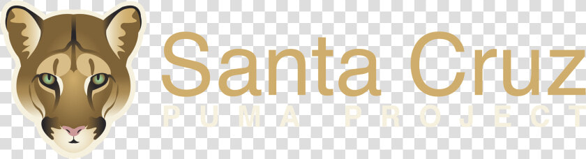 Santa Cruz Puma Project   Aci Santa Cruz Do Sul  HD Png DownloadTransparent PNG