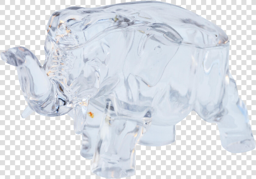 Rhinoceros  HD Png DownloadTransparent PNG