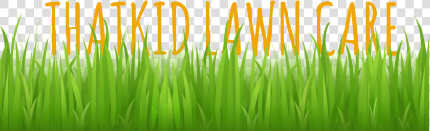 Lawn Mowing   Trimming   Watering   Edging   Thatching   Grass Vector Free  HD Png DownloadTransparent PNG