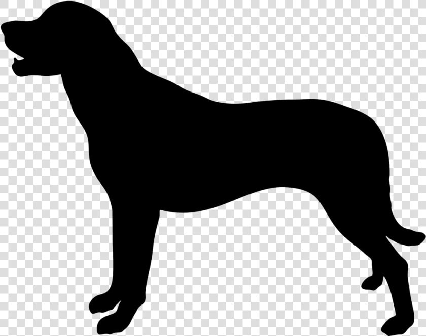 Labrador Retriever Arabian Horse Dog Breed Sticker   Hound Dog Silhouette Png  Transparent PngTransparent PNG