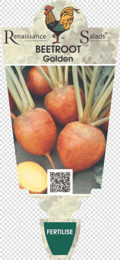 Beetroot  HD Png DownloadTransparent PNG