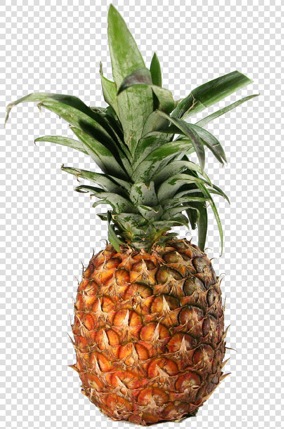 Transparent Pineapple   Pineapple  HD Png DownloadTransparent PNG