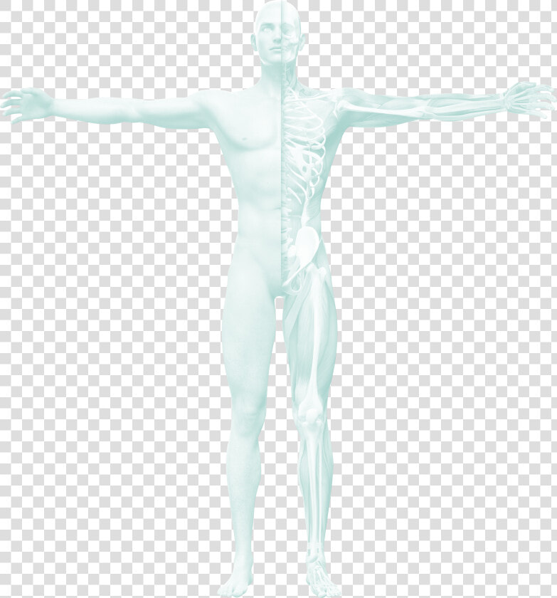 Orthopedic Conditions   Male  HD Png DownloadTransparent PNG