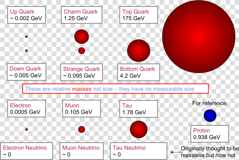 Fundamental Particles Size  HD Png DownloadTransparent PNG