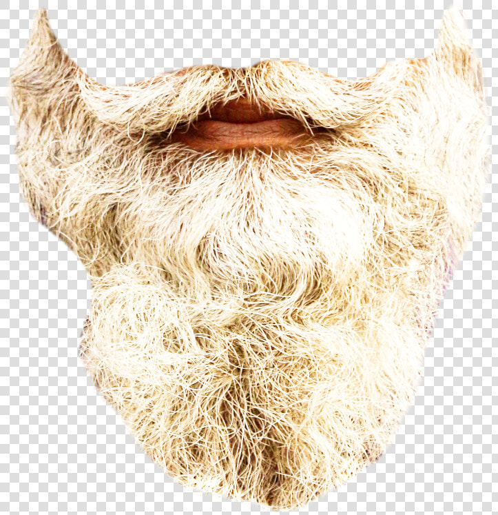  beard  realistic  gray  long  madewithpicsart Op Courtesy   Snout  HD Png DownloadTransparent PNG