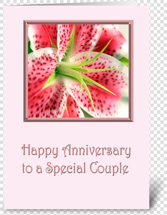 Anniversary Stargazer Lily Greeting Card   Happy Anniversary Stargazer Lilies  HD Png DownloadTransparent PNG