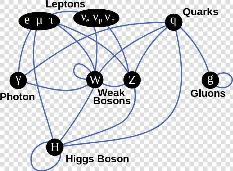 Summary Of Interactions Between Certain Particles Described   Standard Model Particle Interactions  HD Png DownloadTransparent PNG