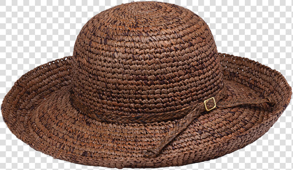 Chamomile Png  Transparent PngTransparent PNG