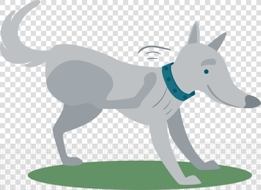 Flea Control   Flea  HD Png DownloadTransparent PNG