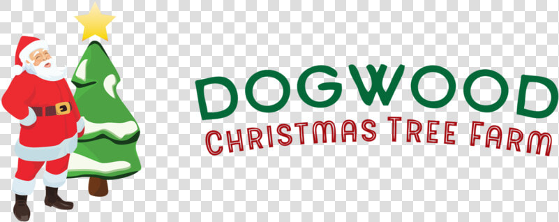 Dogwood Png  Transparent PngTransparent PNG