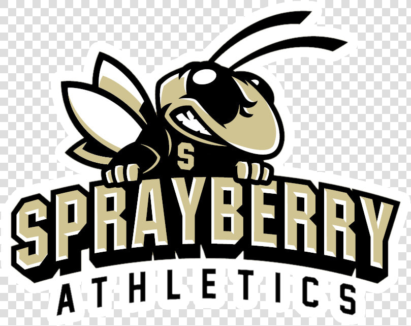 Sprayberry High School Basketball Logo  HD Png DownloadTransparent PNG