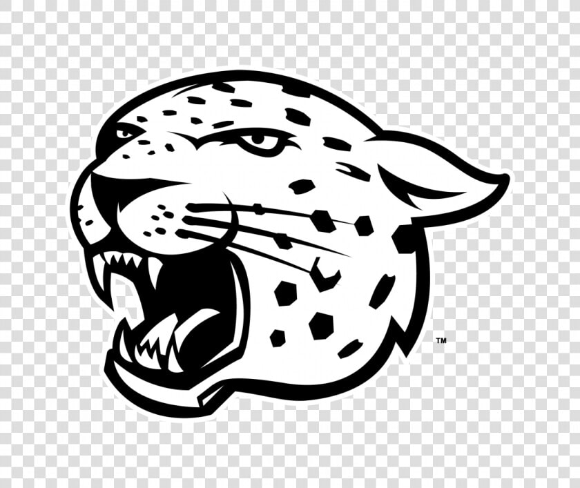 Easy Bear Face Drawings Painting Funny Drawing Easy   Easy Cheetah Head Drawing  HD Png DownloadTransparent PNG