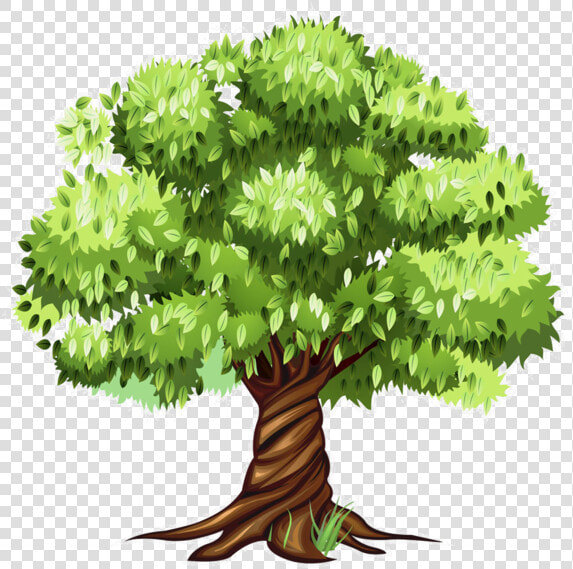 Tree Clipart  Tree Patterns  Flowering Trees  Cartoon   Tree Clipart Png  Transparent PngTransparent PNG
