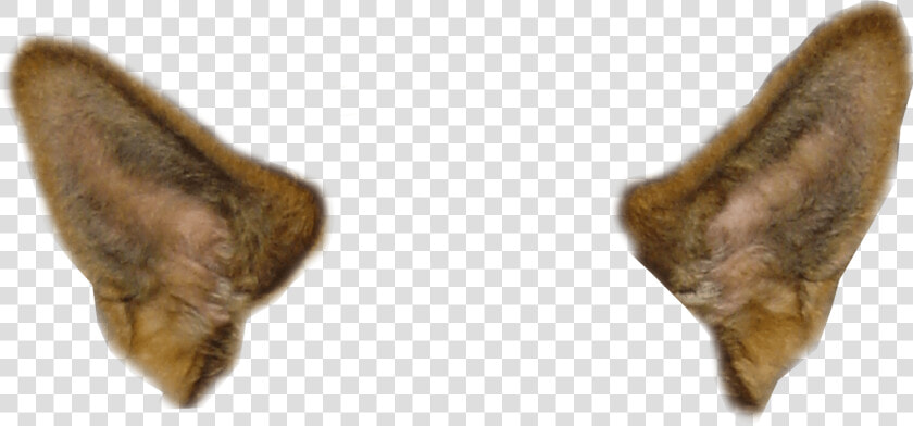 Snapchat Filter Dog Ears   Dog Ear Clip Art  HD Png DownloadTransparent PNG