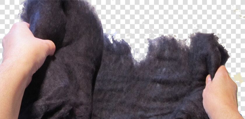 Polar Fleece  HD Png DownloadTransparent PNG