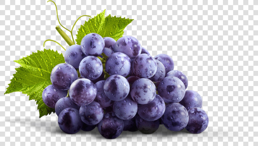 Thumbnail   Concord Grape Png  Transparent PngTransparent PNG