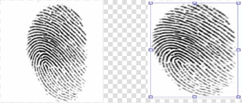Crime Scene Latent Fingerprints  HD Png DownloadTransparent PNG