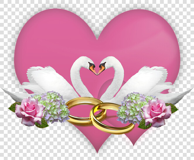 Amor  Boda  Anillos  Deco  Cisnes  Rosas  Hortensias   Wil Je Met Me Trouwen  HD Png DownloadTransparent PNG