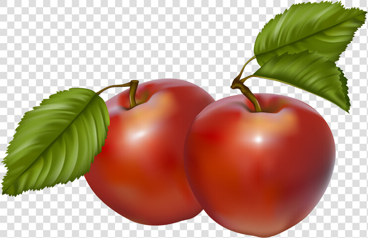 Transparent Apple Clip Art   Apples Clipart Png  Png DownloadTransparent PNG