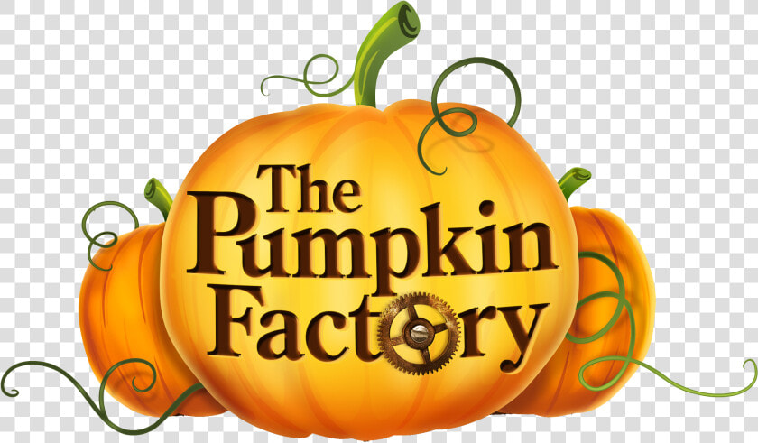 Transparent Pumpkin Vines Clipart   Pumpkin Factory  HD Png DownloadTransparent PNG