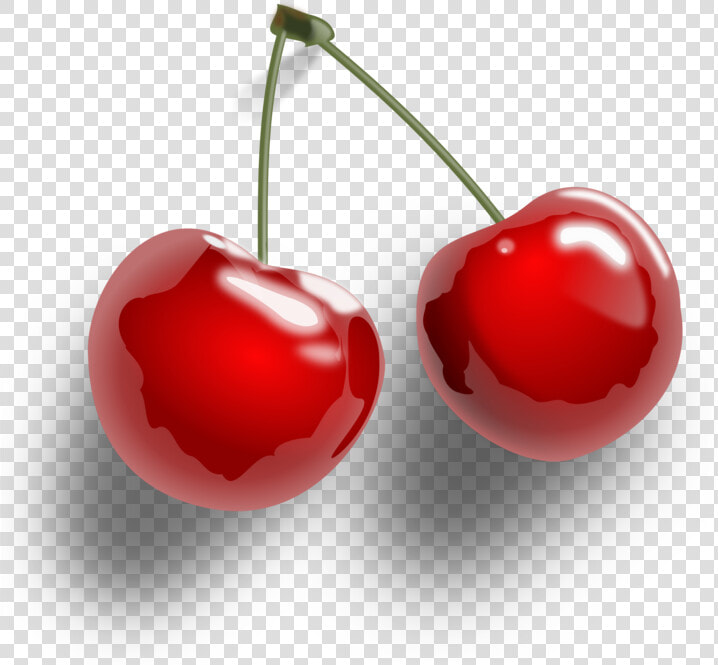 Heart plant malpighia   Transparent Background Cherry Transparent  HD Png DownloadTransparent PNG