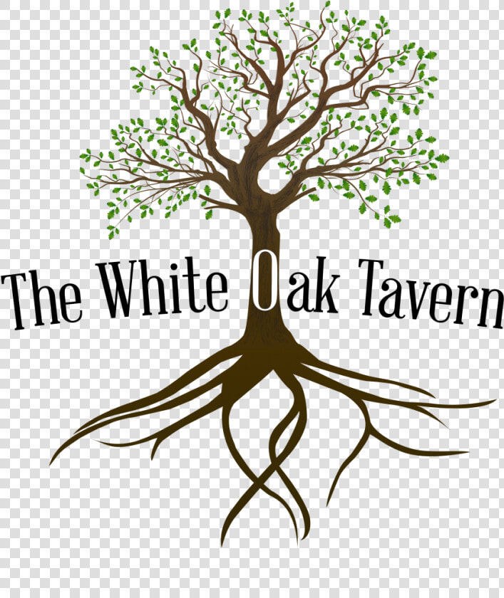 White Oak Tavern Logo  HD Png DownloadTransparent PNG