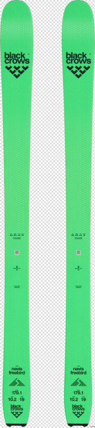 Navis Freebird 2020  HD Png DownloadTransparent PNG